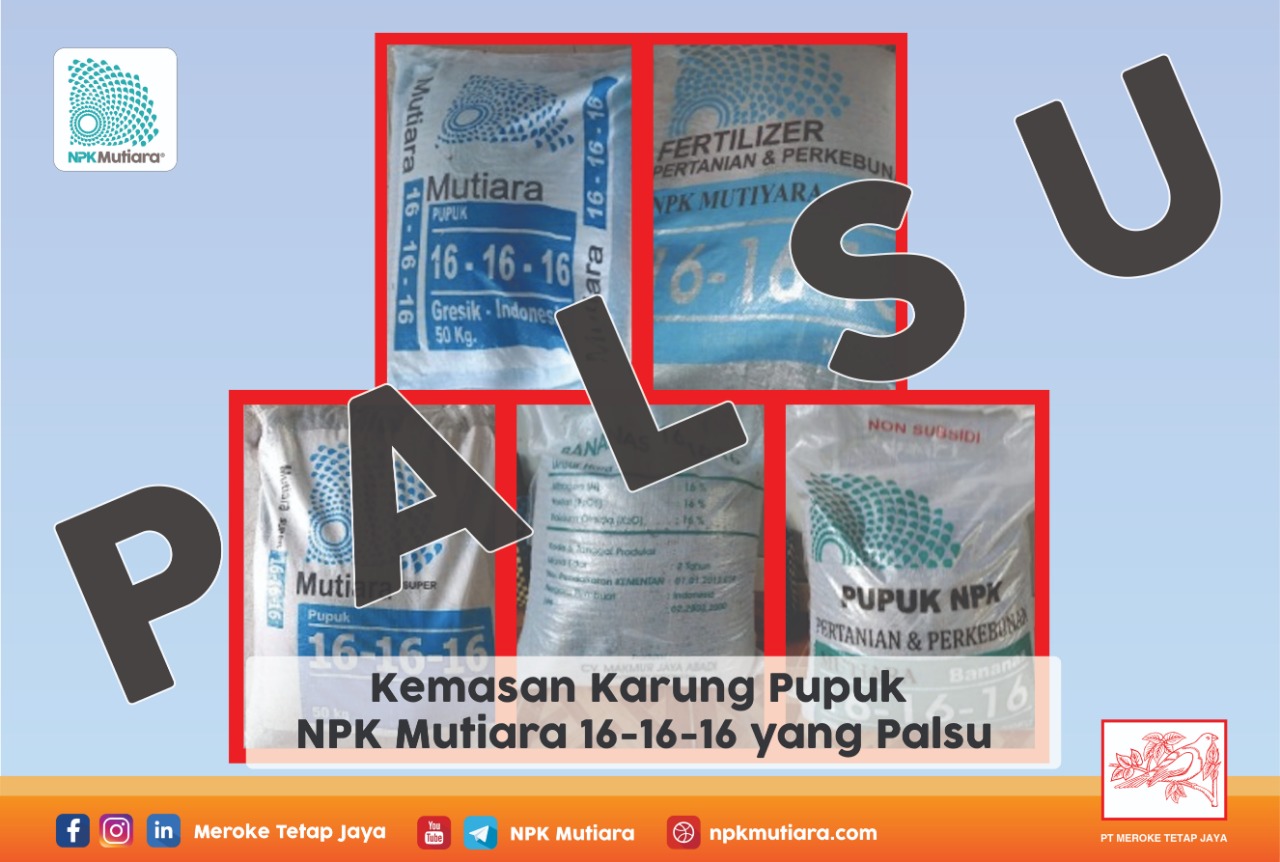 Bagaimana Mengenal Pupuk Npk Mutiara 16 16 16 Yang Asli Npk Mutiara Terpercaya Karena Kualitas