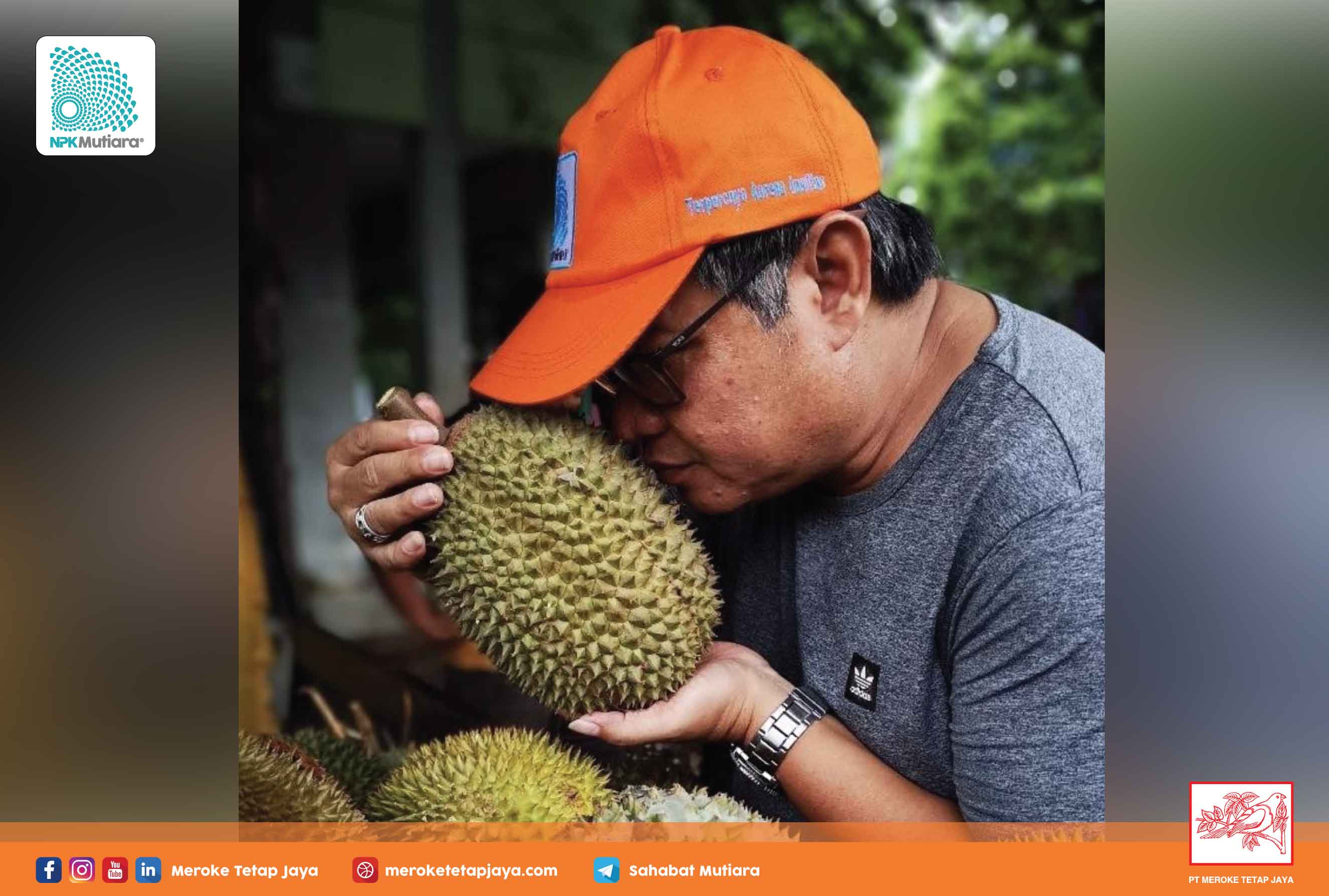 Rahasia Durian Enak