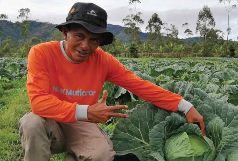 Haji Heri, Sayur Kubis, Garut