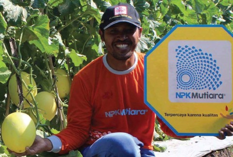 Warsono, Buah Melon, Brebes