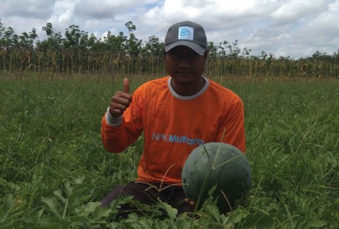 Iwan, Semangka, Sintang Kalbar