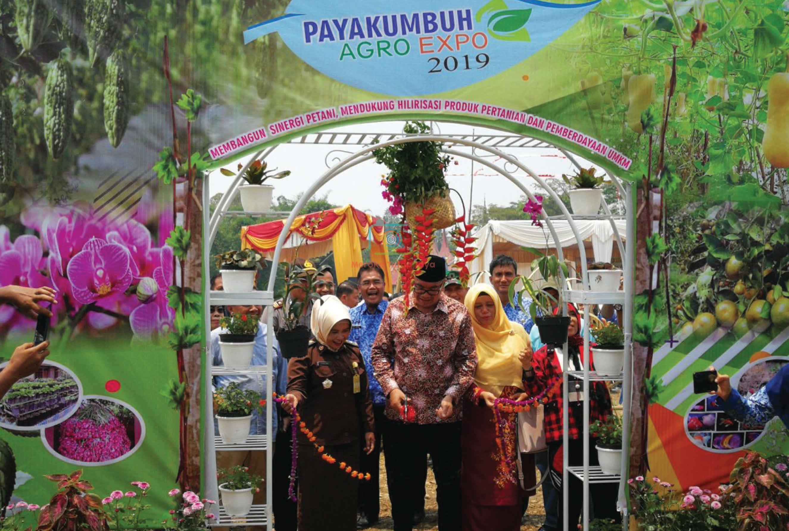 Agro Expo 2019: Payakumbuh
