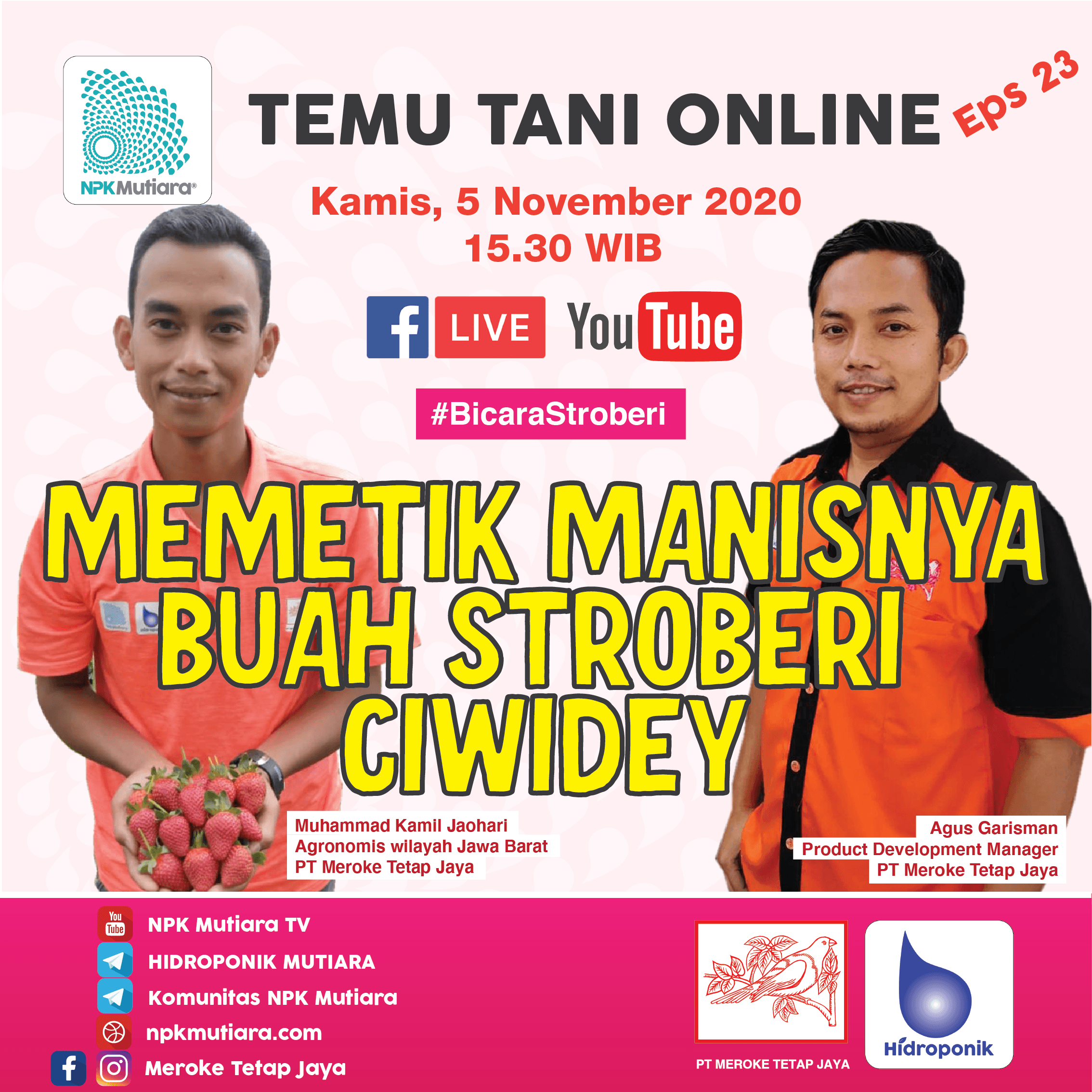 Memetik Manisnya Buah Stroberi Ciwidey