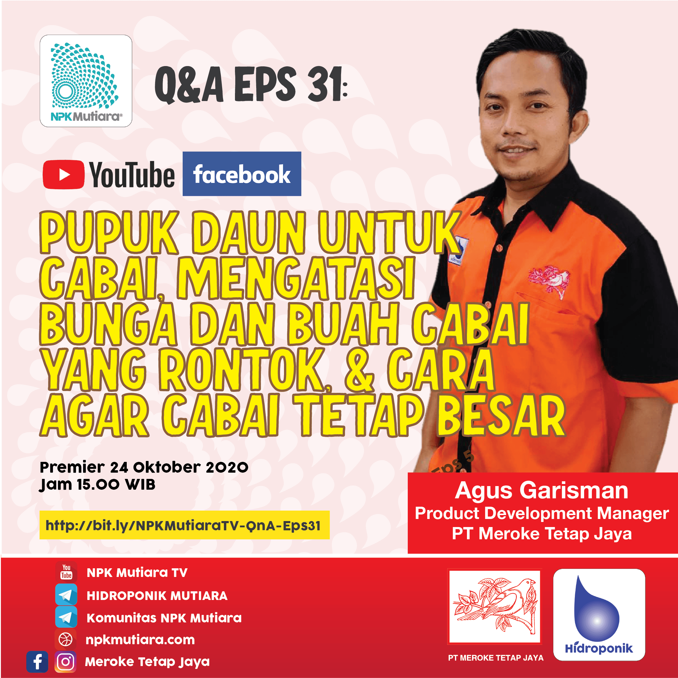 Q&A Lanjutan Eps 31: Pupuk Daun untuk Cabai, Mengatasi Bunga & Buah Cabai yang Rontok