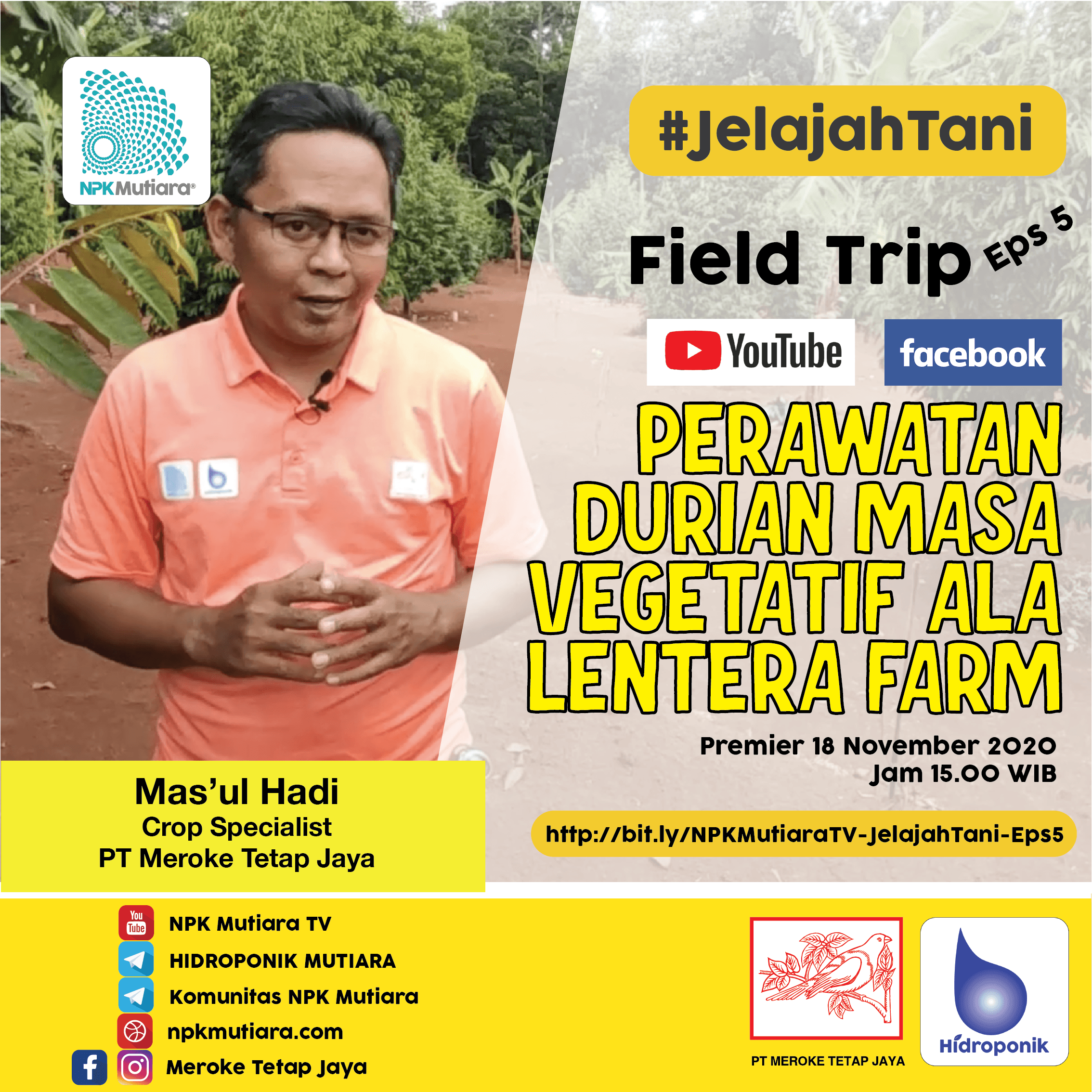 Perawatan Durian Masa Vegetatif Ala Lentera Farm