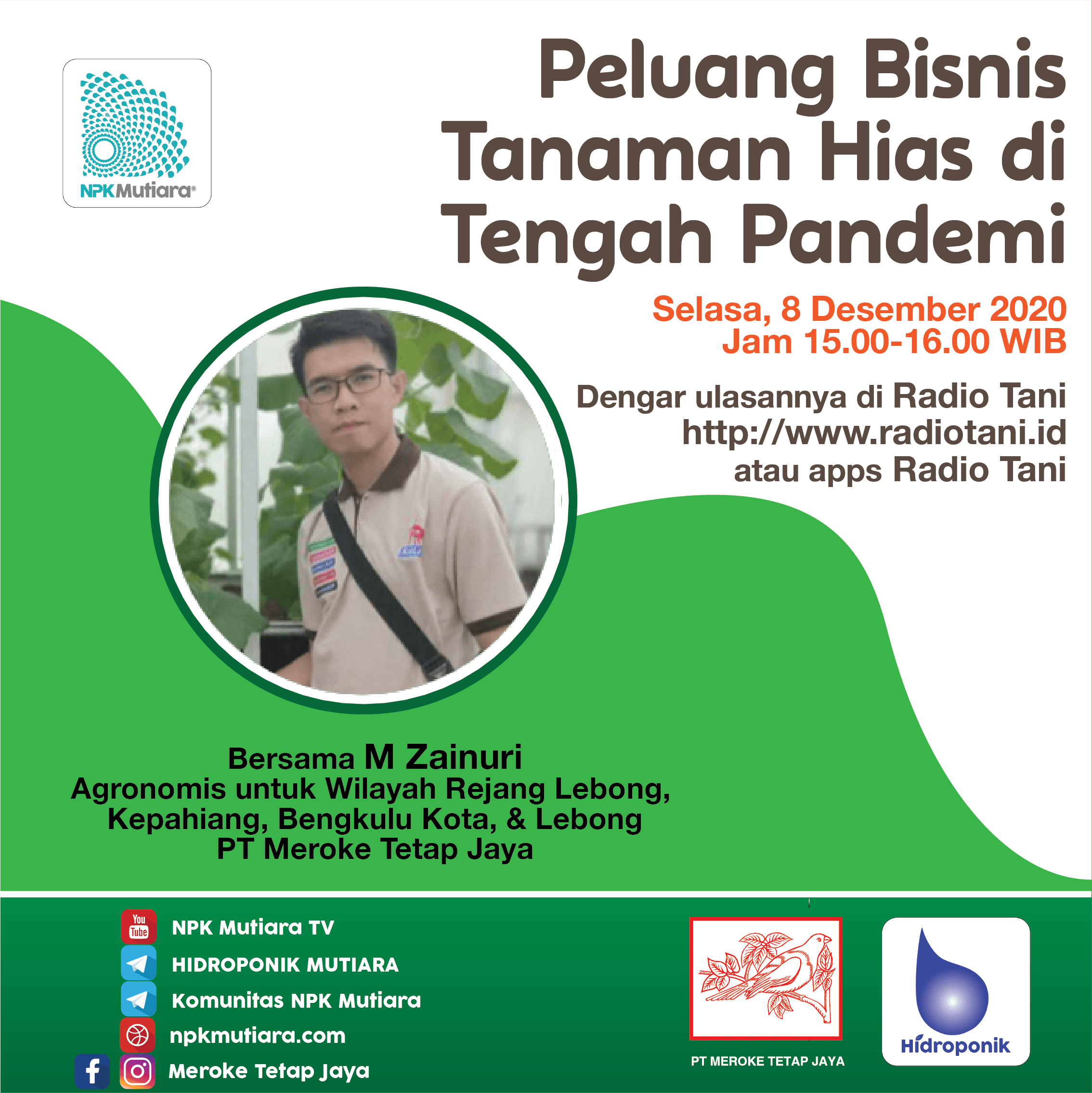 Peluang Bisnis Tanaman Hias di Tengah Pandemi