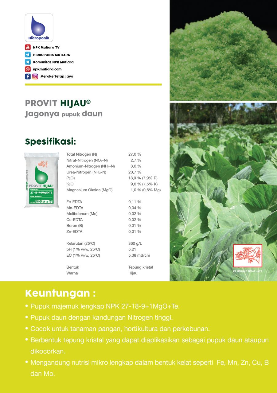 PROVIT HIJAU