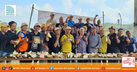 Berburu Warisan 'Purba' di Jepara Bersama Durian Traveler & Pakar Durian