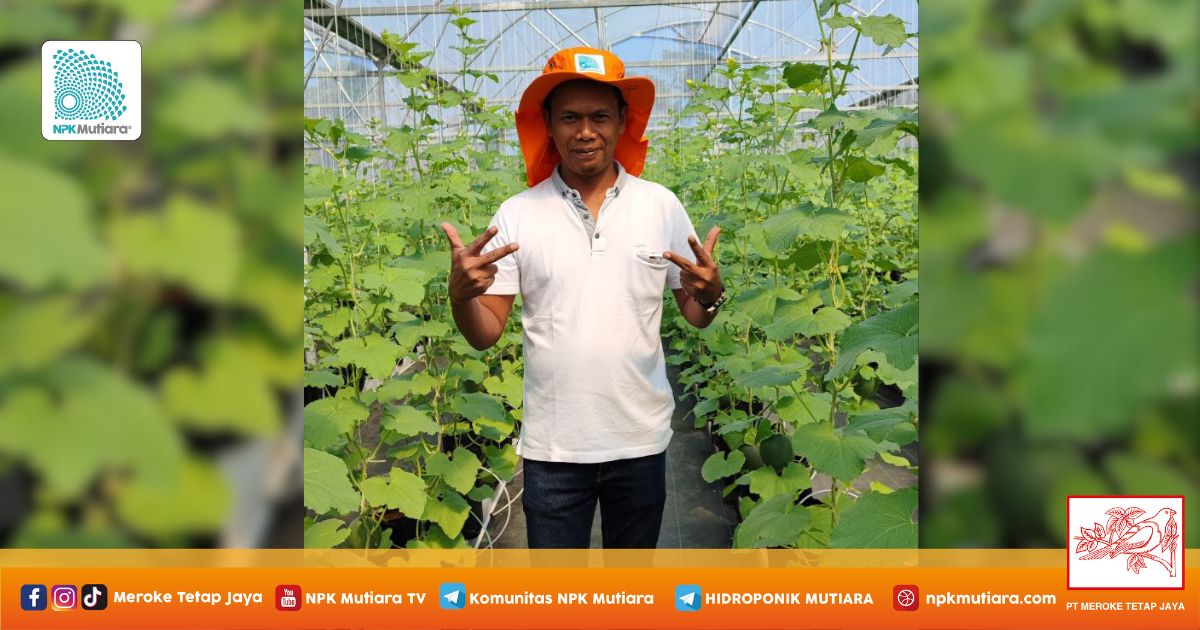 Anton Soepriyono, Ex TKI yang Beralih Jadi Influencer Pertanian Modern