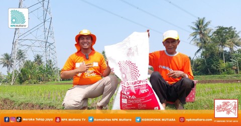 Ahmad Syarif Purnama, Bantu Petani-Petani di Cianjur dengan Keilmuan yang Kekinian