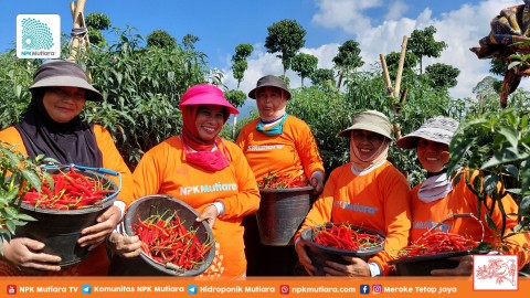 Pertanian Berkelanjutan: Menjaga Kualitas dan Nilai Hasil Panen Melalui Pengelolaan yang Cerdas