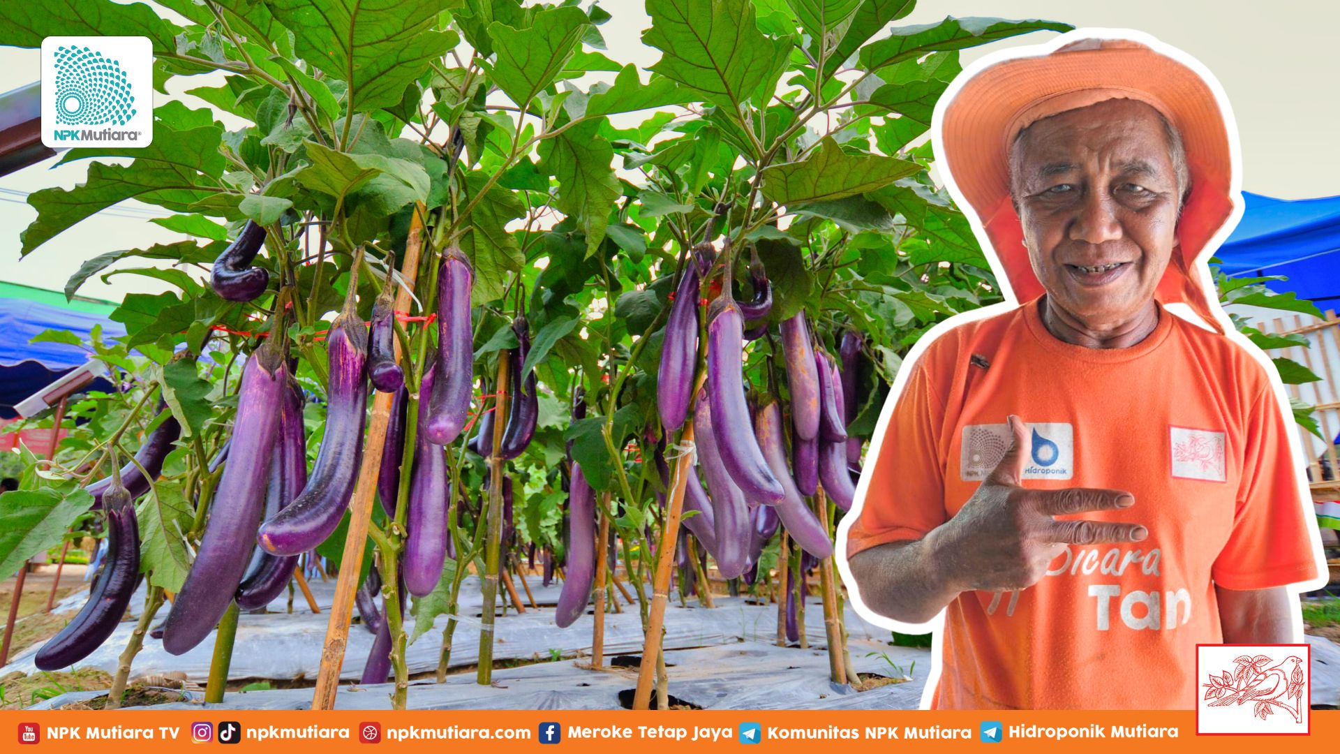 Kisah Inspiratif Petani Senior! Pentingnya Semangat Belajar Tak Kenal Usia