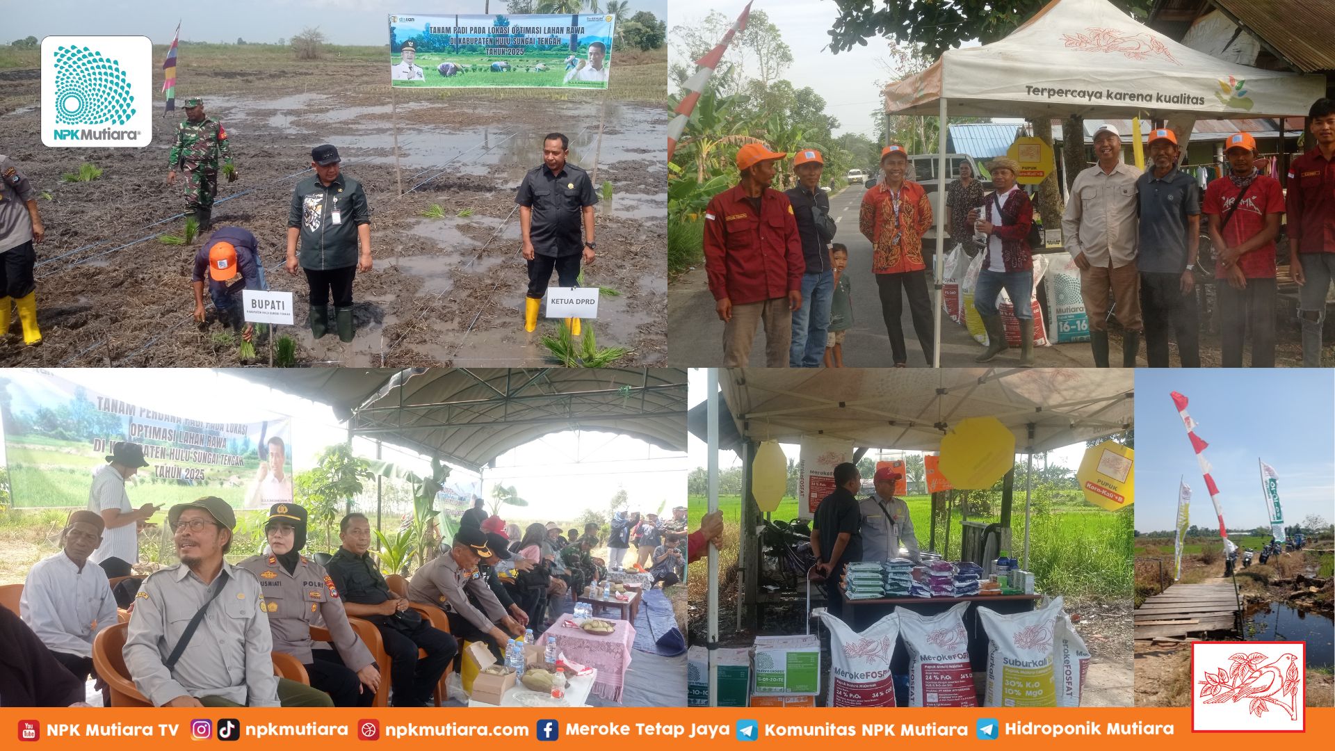 Optimalisasi Lahan Rawa Padi 390 Ha di Desa Kayu Rabah Didukung Penuh PT Meroke Tetap Jaya dan Pemerintah Lokal