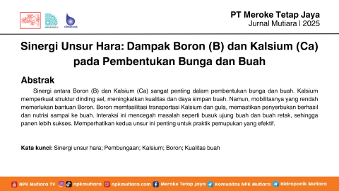 Sinergi Unsur Hara: Dampak Boron (B) dan Kalsium (Ca) pada Pembentukan Bunga dan Buah