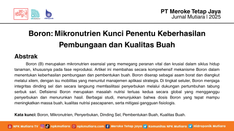 Boron: Mikronutrien Kunci Penentu Keberhasilan Pembungaan dan Kualitas Buah