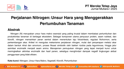 Perjalanan Nitrogen: Unsur Hara yang Menggerakkan Pertumbuhan Tanaman