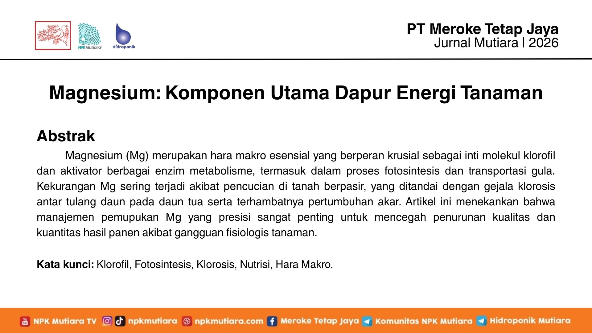 Magnesium: Komponen Utama Dapur Energi Tanaman