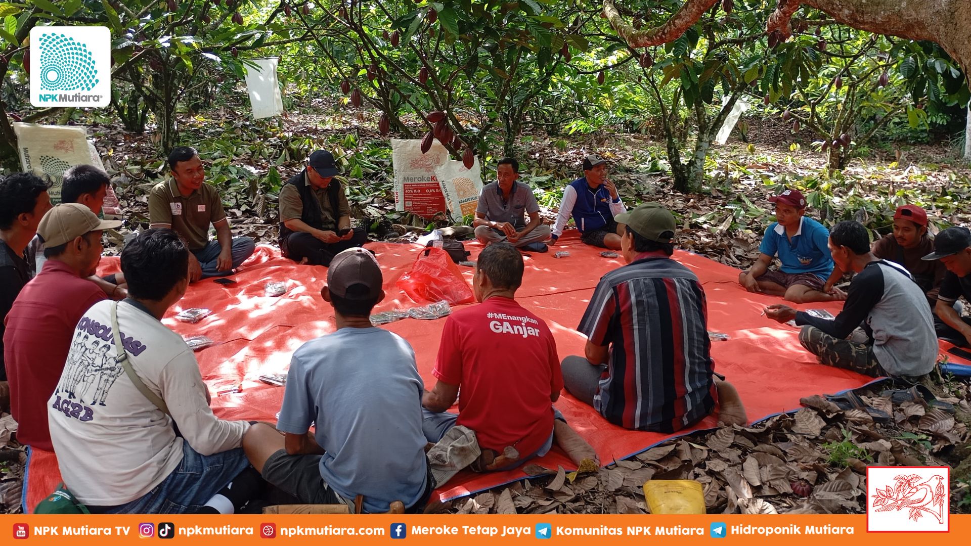 Kebun Tetap Jalan Meski Pupuk Langka